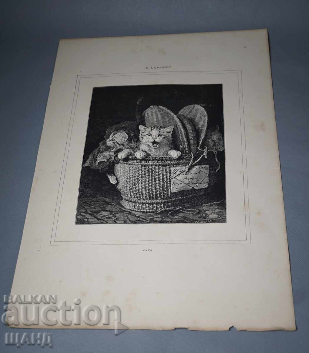 1900 Litografie cu desen de maestru pisici