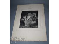 1900 Litografie cu desen de maestru pisici