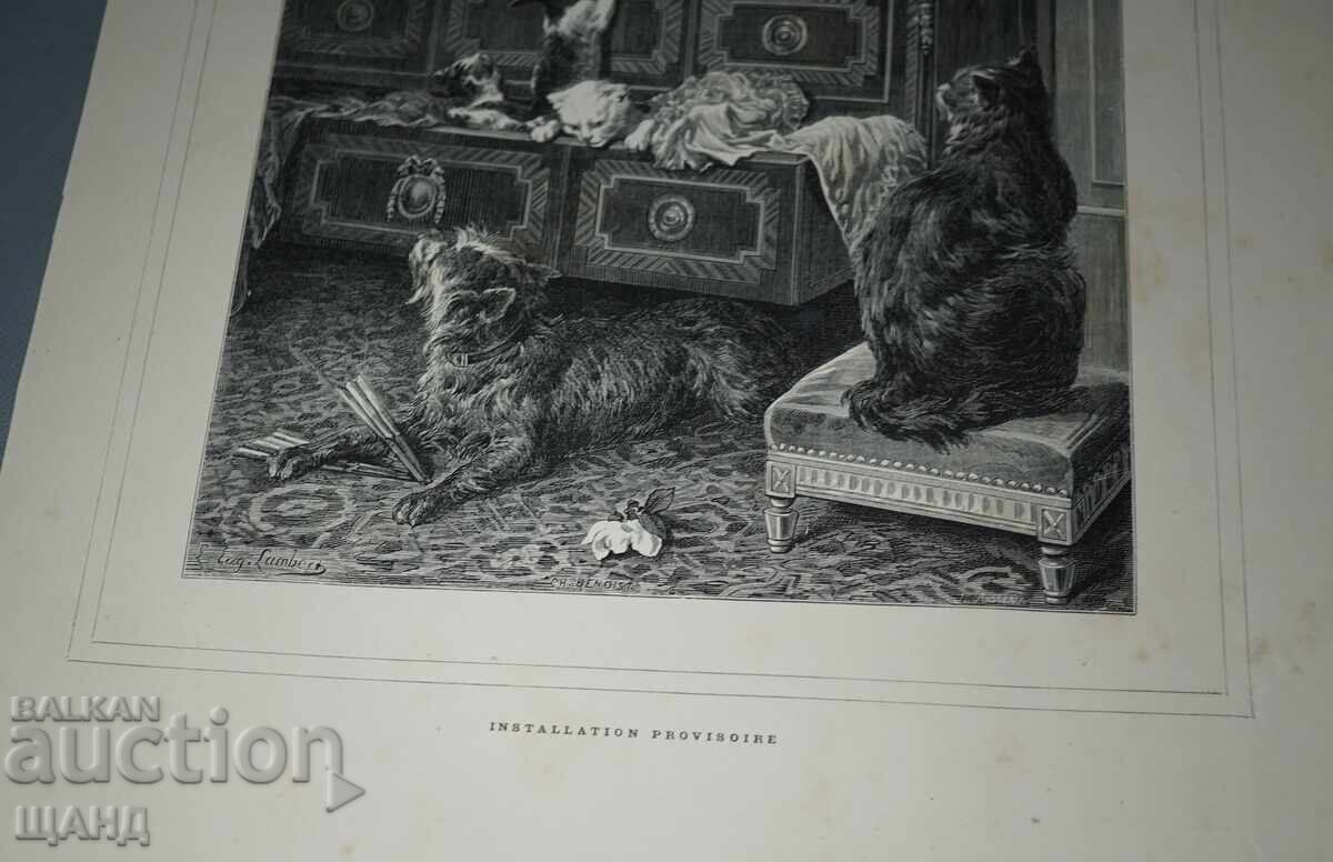 1900 Λιθογραφία με σχέδιο μάστερ γάτες με τιμή 5.35 BGN | € 2.74