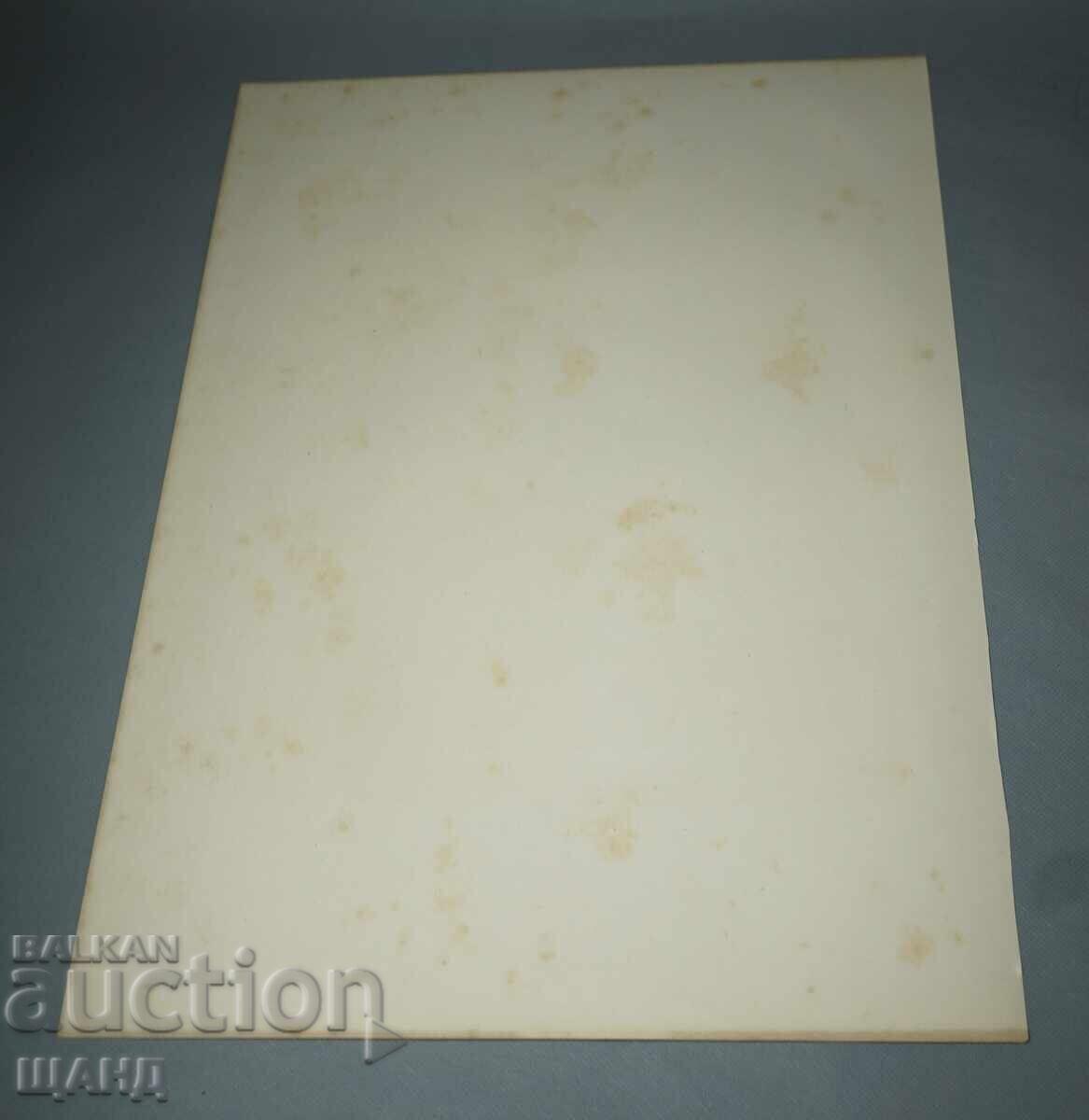 Δημοπρασία 1900 Λιθογραφία με σχέδιο μάστερ γάτες