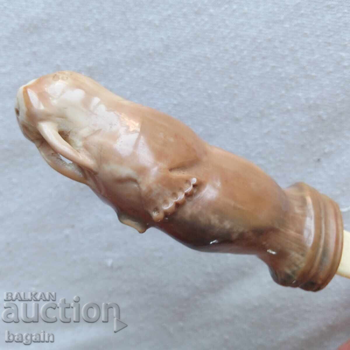 Russian Empire. Walrus Tooth