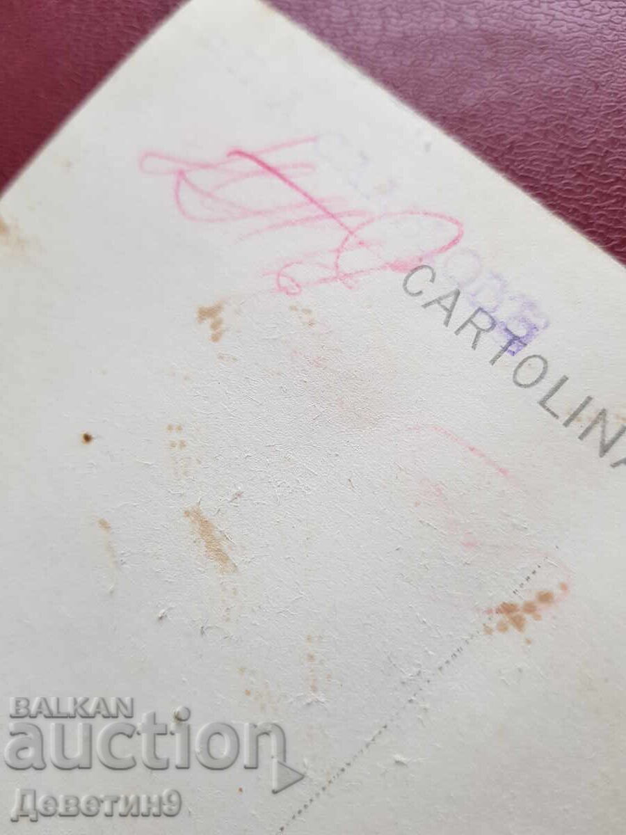 Postcard - 6 Postcard - 6