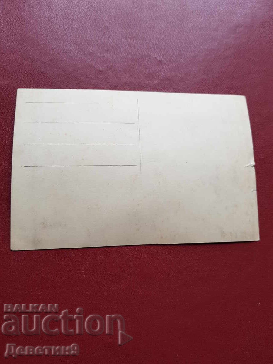 Първата Любовта на Моцарта с цена 12.00 лв. | € 6.14 Първата Любовта на Моцарта с цена 12.00 лв. | € 6.14