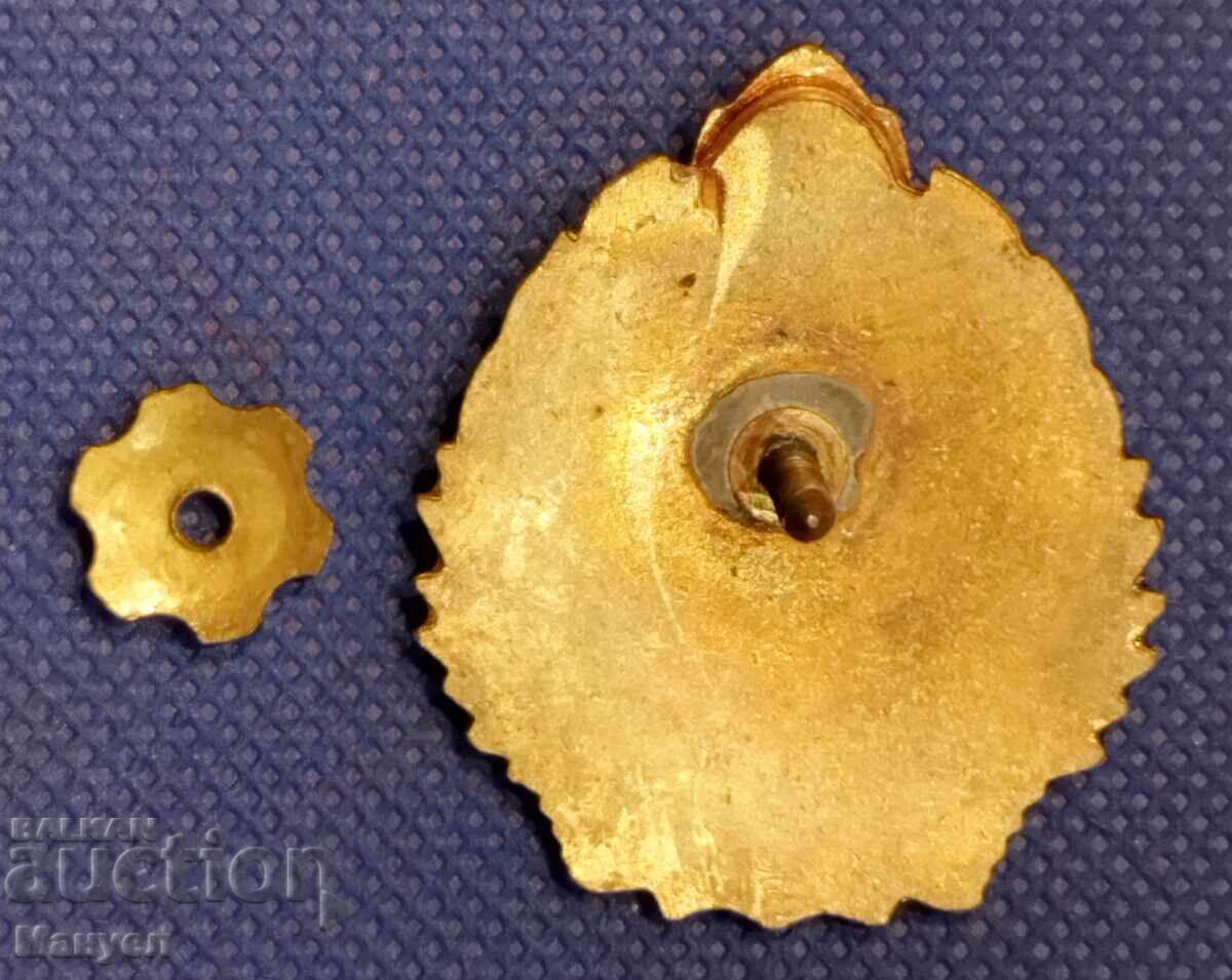 Romanian Flying Sign, Early Socialist with price 140.00 BGN | € 71.58