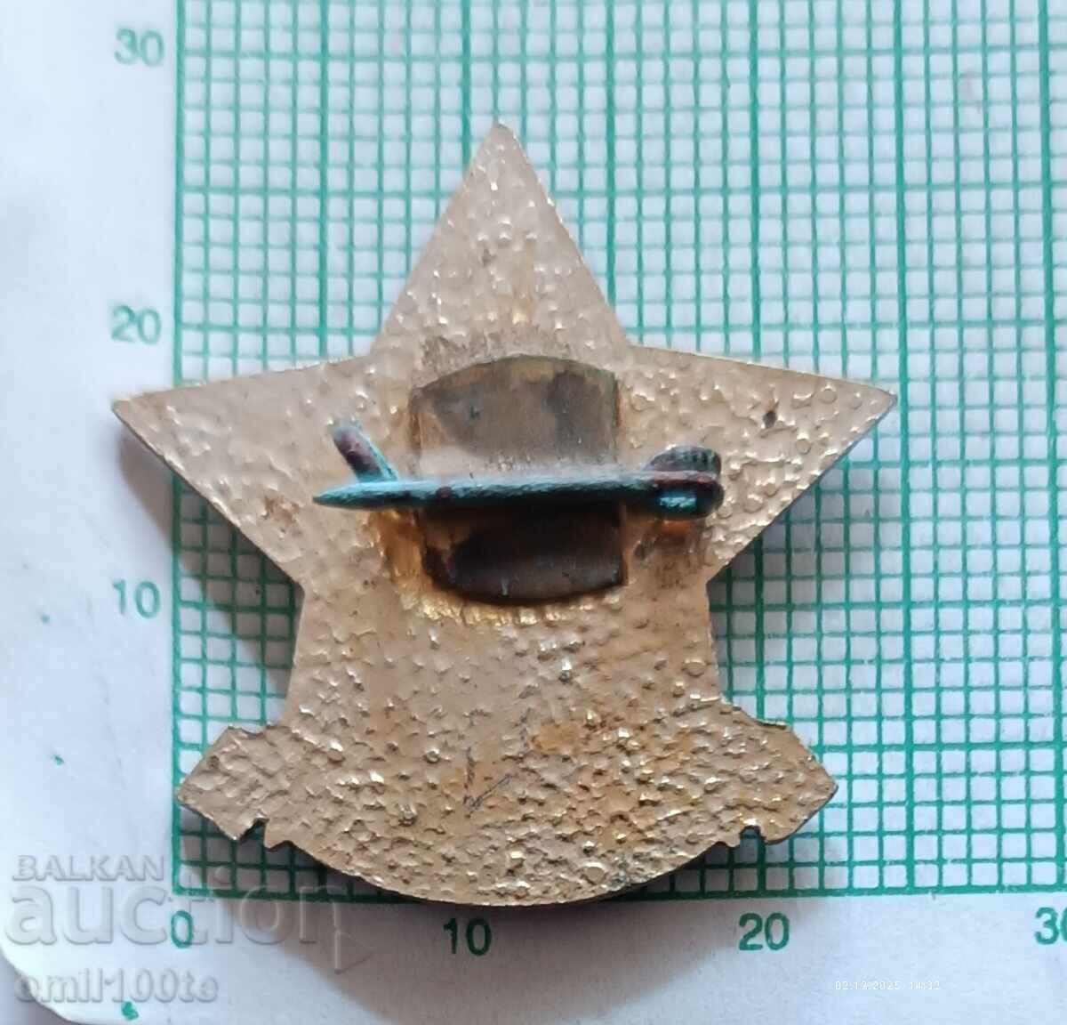 Delivery of Badge - MLP Excellent Student, Ministry of Light Industry