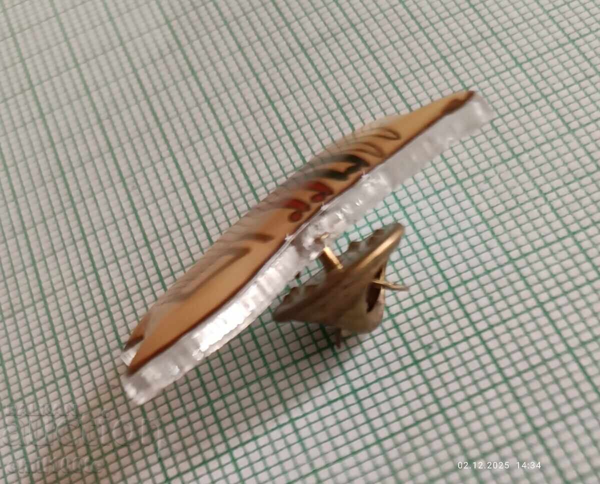 Σηματάκι - 10 χρόνια ΝΠΣΣ - 6