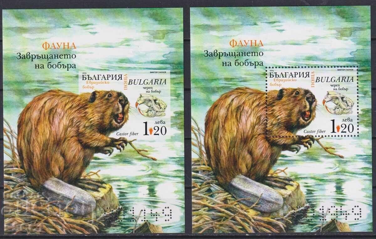 Чисти блокове Фауна Завръщането на Бобъра 2025 от България Чисти блокове Фауна Завръщането на Бобъра 2025 от България