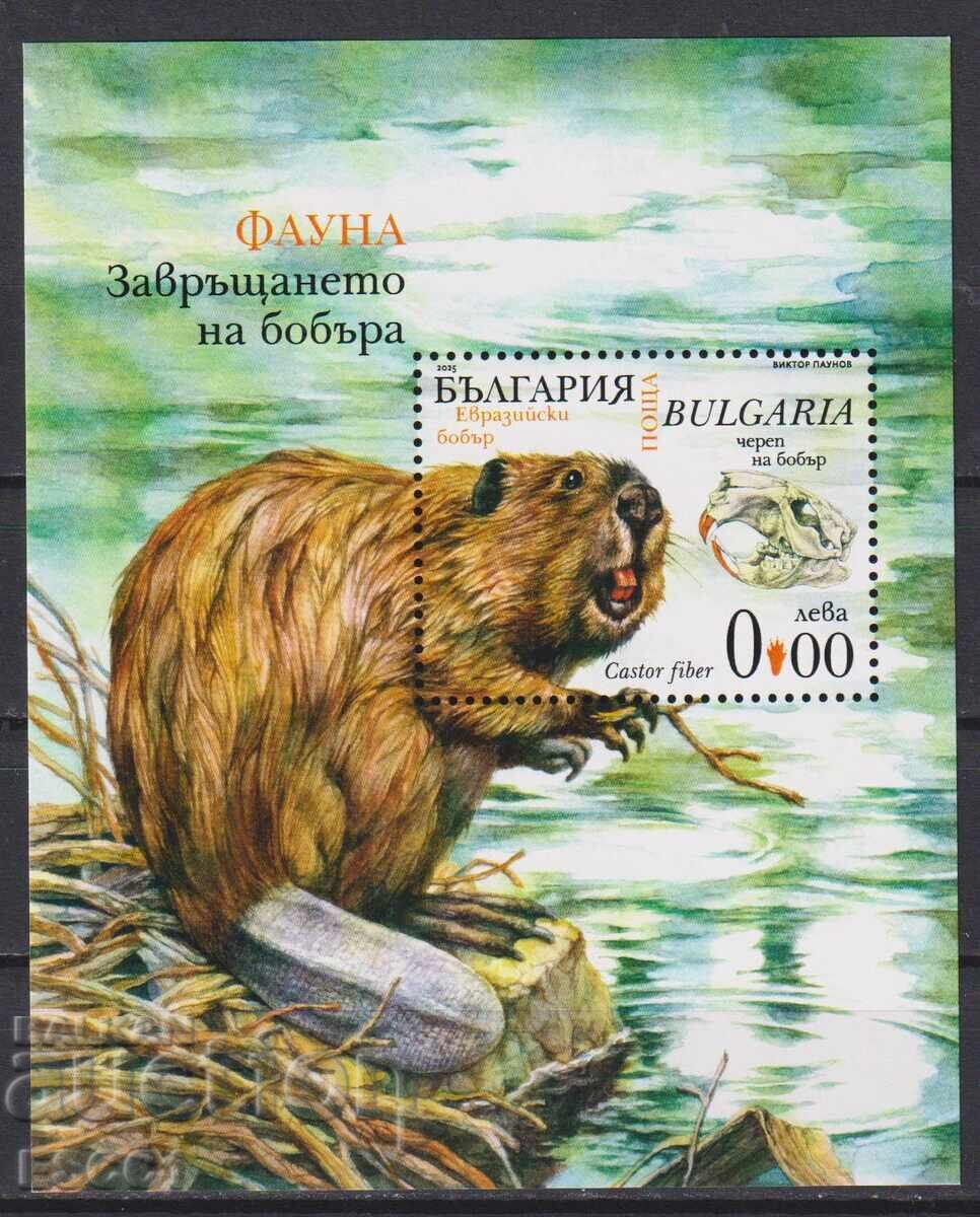 Bloc suvenir curat Fauna Întoarcerea Castorului 2025 Bulgaria Bloc suvenir curat Fauna Întoarcerea Castorului 2025 Bulgaria