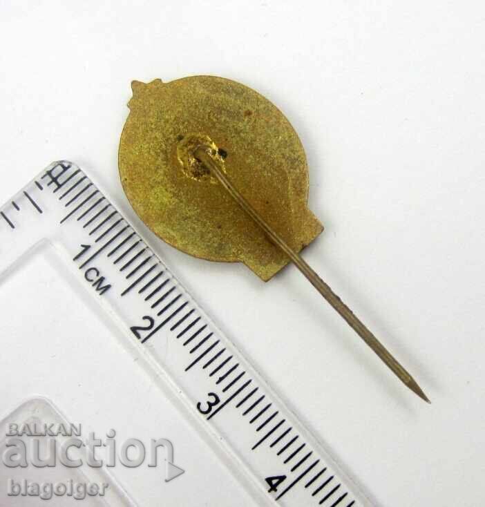 Licitație CONGRESUL DE LA BUZLUJAN 1891 - BKP - PROPAGANDĂ - SOC - EMAIL