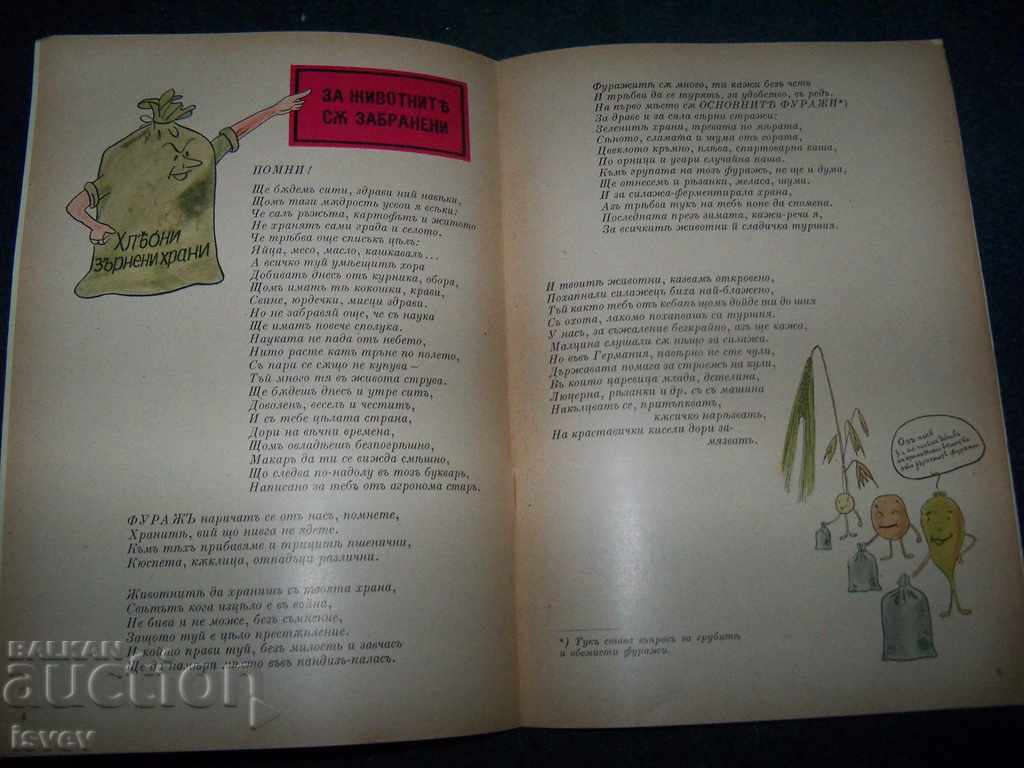 Δημοπρασία Διασκεδαστικό βιβλιαράκι για τη διατροφή των κατοικίδιων ζώων από το 1942 Δημοπρασία Διασκεδαστικό βιβλιαράκι για τη διατροφή των κατοικίδιων ζώων από το 1942