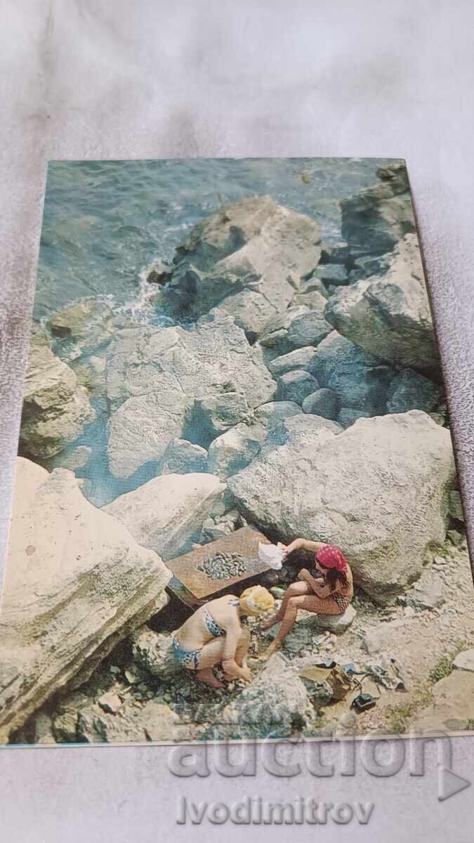 Postcard Kiten Near Atliman campsite 1980 Postcard Kiten Near Atliman campsite 1980