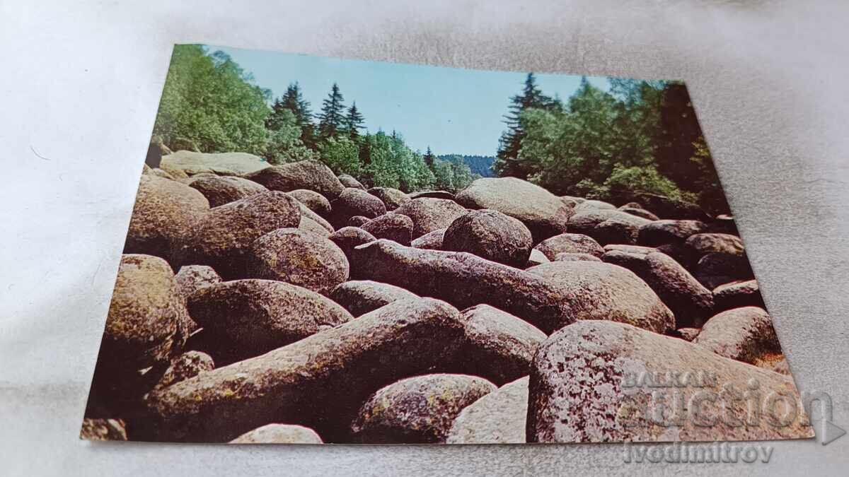 Carte poștală Vitosha Morenele 1983 Carte poștală Vitosha Morenele 1983