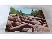 Carte poștală Vitosha Morenele 1983