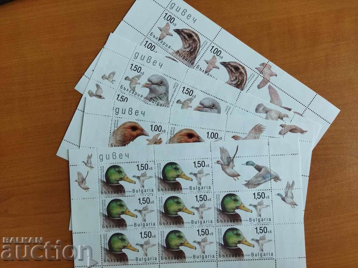 Βουλγαρία "Divech" από το 2021. Πανίδα Πουλιά Βουλγαρία "Divech" από το 2021. Πανίδα Πουλιά