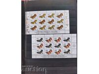 Setul celor două ediții „Fluturi de noapte” din 2023.