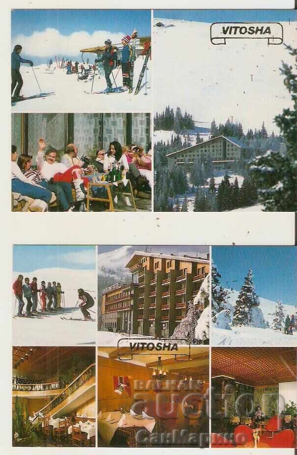 Licitație Carte poștală Bulgaria Sofia Vitosha Album*