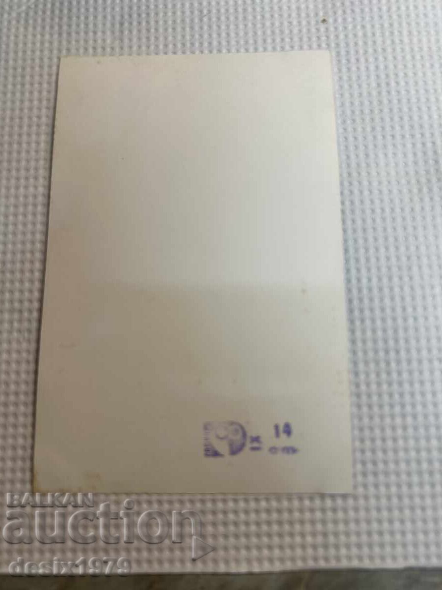 Livrarea Fotografie trio Obiectiv Livrarea Fotografie trio Obiectiv