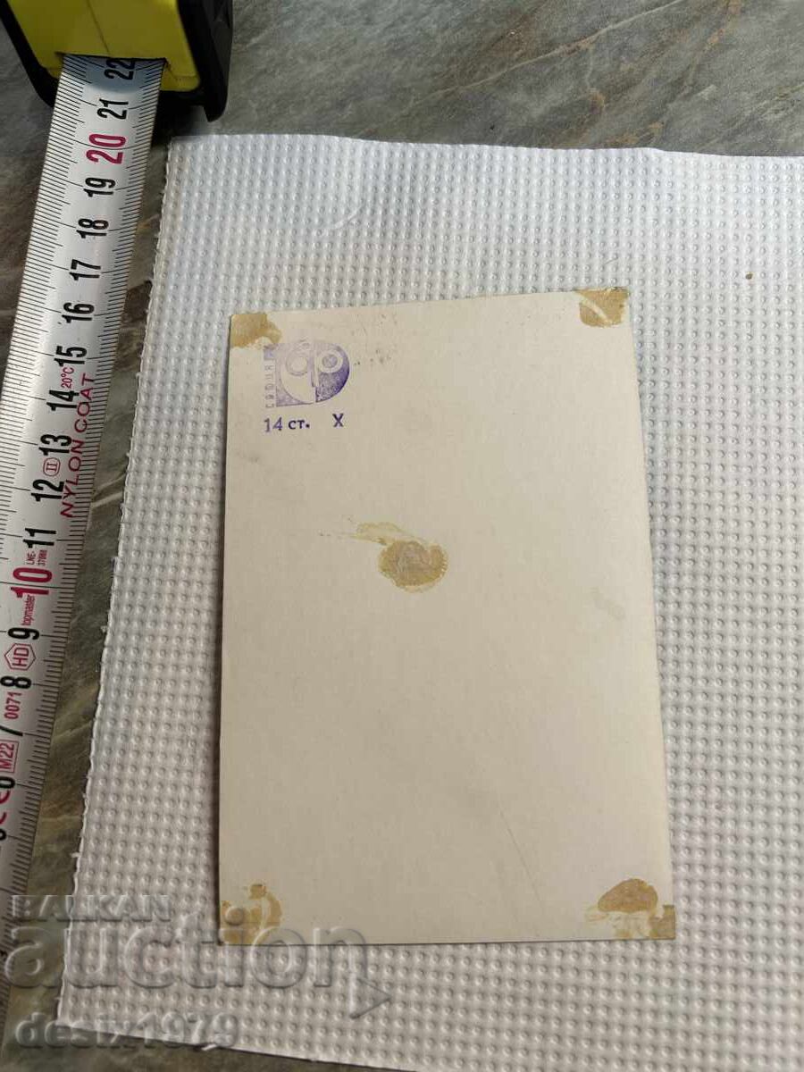 Delivery of Emilia Markova The Golden Orpheus 69 years old