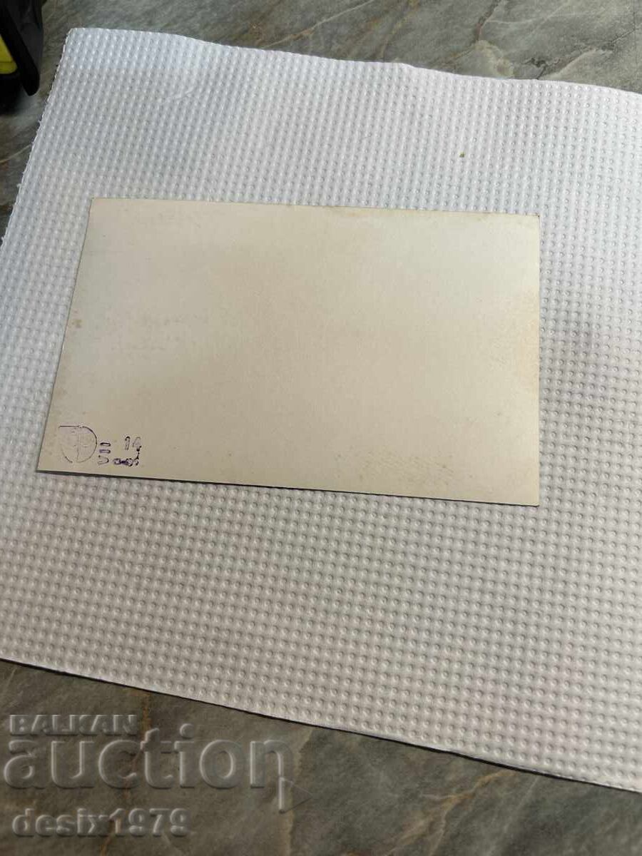 Delivery of Photo with Emilia Markova