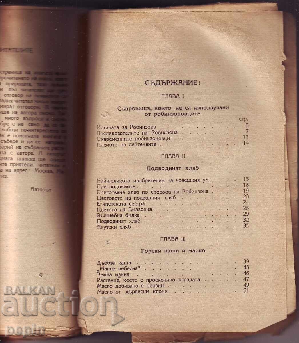 Аукцион Н. Верзилин - По следите на Робинзона