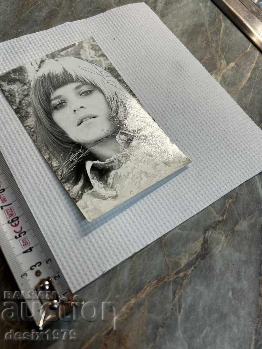 Auction Star Autograph Auction Star Autograph