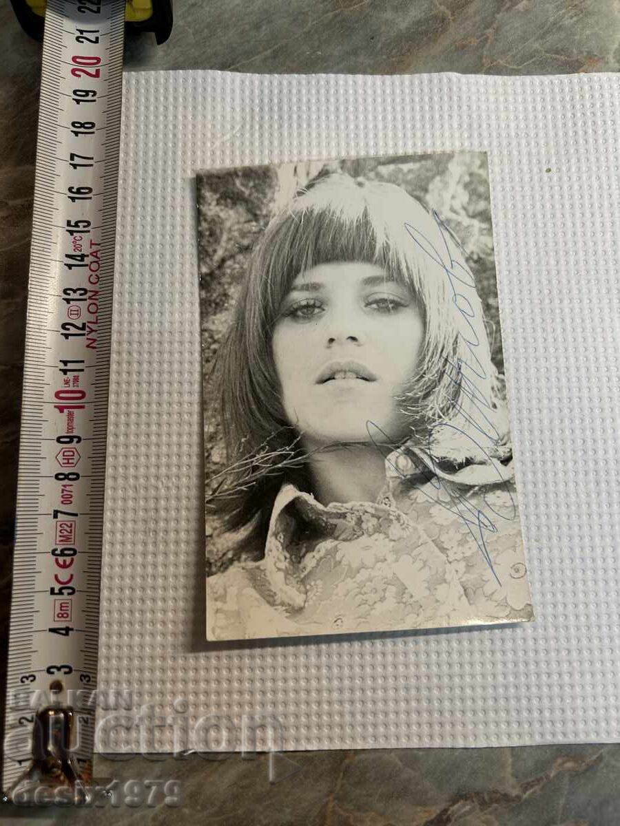 Star Autograph Star Autograph