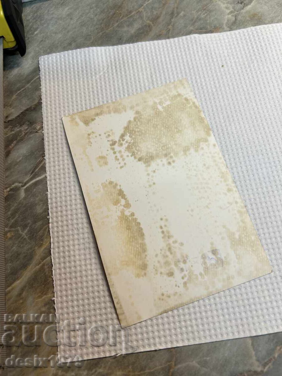 Delivery of The Golden Orpheus Maria Neykova Delivery of The Golden Orpheus Maria Neykova