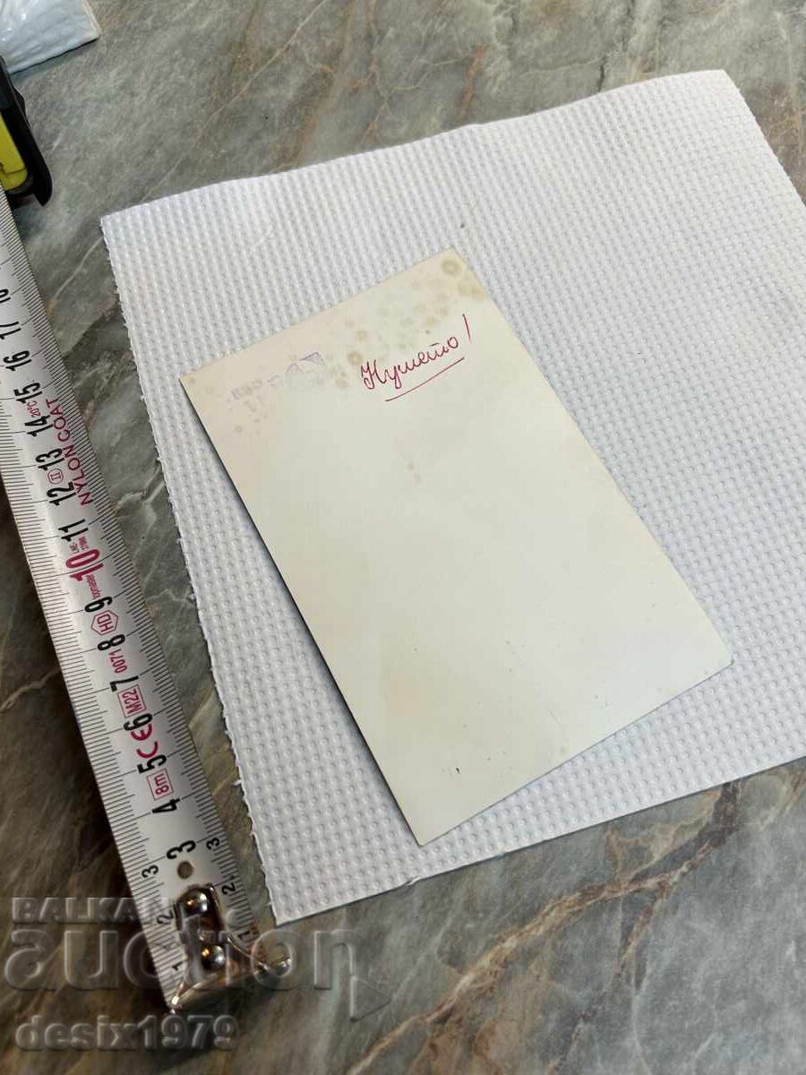 Delivery of Photo with Svetla Stoeva