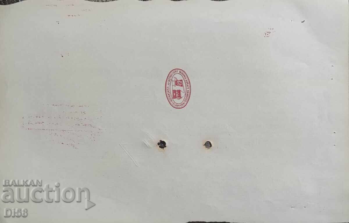 Acțiune Grecia Produse Chimice Și Îngrășăminte 1948 100 Drahmă cu preț 25.00 BGN | € 12.78 Acțiune Grecia Produse Chimice Și Îngrășăminte 1948 100 Drahmă cu preț 25.00 BGN | € 12.78