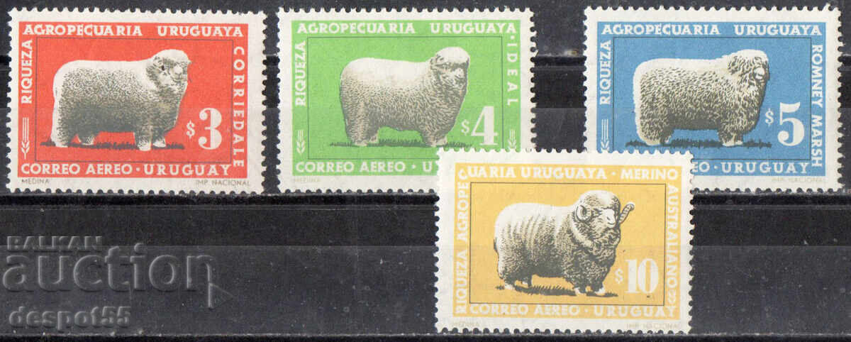 1967. Uruguay. Poștă aeriană - Creșterea ovinelor în Uruguay