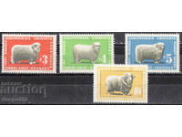 1967. Uruguay. Poștă aeriană - Creșterea ovinelor în Uruguay