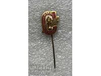 Old sports/football badge Romania