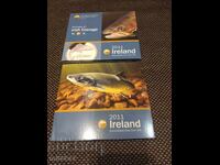 Σετ Ευρωνομισμάτων 2011, Ιρλανδία