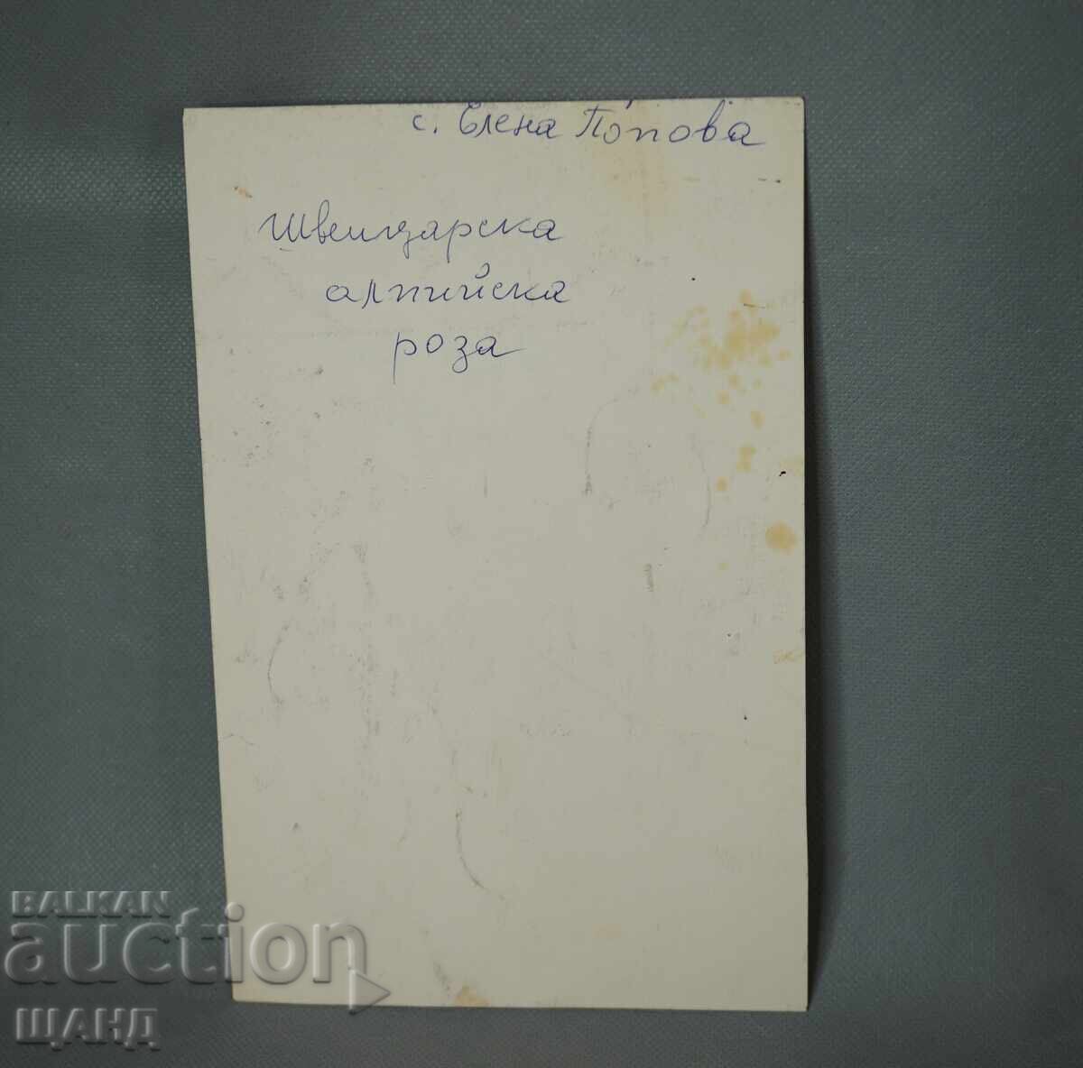 Δημοπρασία 1982 Έλενα Ποπόβα Ζωγραφική Πίνακας Ελβετική Αλπική Ρόδο Δημοπρασία 1982 Έλενα Ποπόβα Ζωγραφική Πίνακας Ελβετική Αλπική Ρόδο