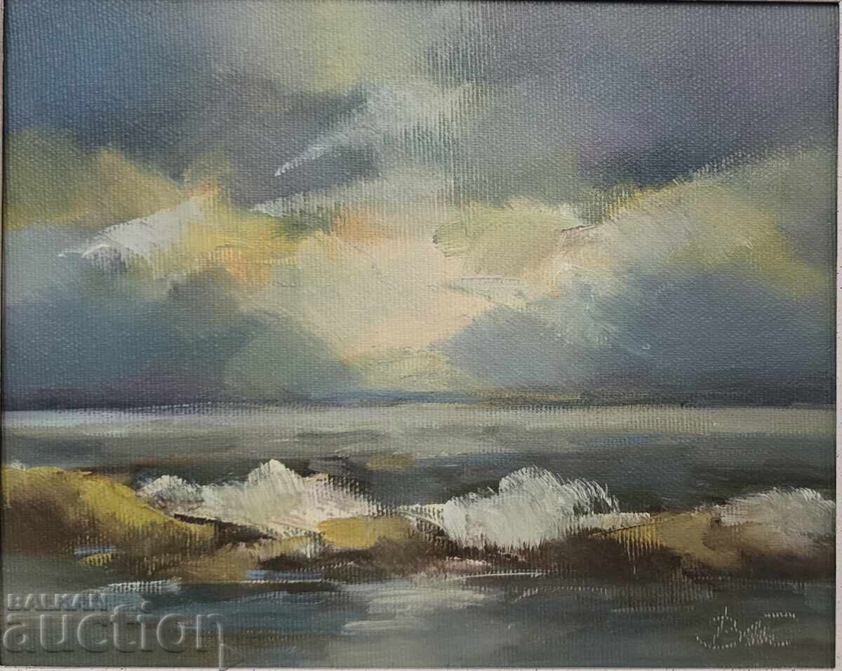 B.Z.TS Ventsislav Tomov - More cu preț € 50.62 | 99.00 BGN