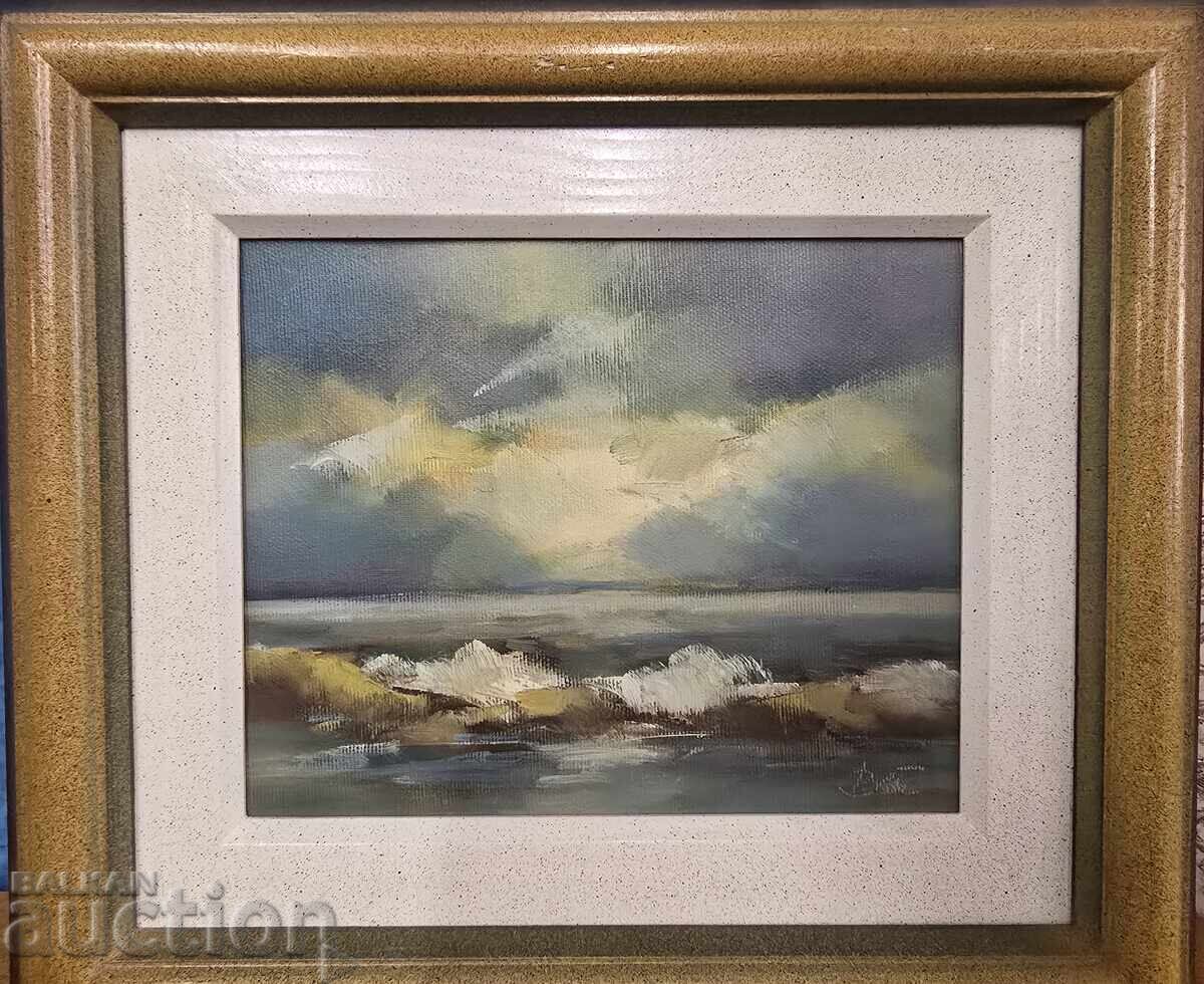 Licitație B.Z.TS Ventsislav Tomov - More