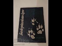 Άρθουρ Κόναν Ντόιλ, Το Σκυλί των Μπάσκερβιλ