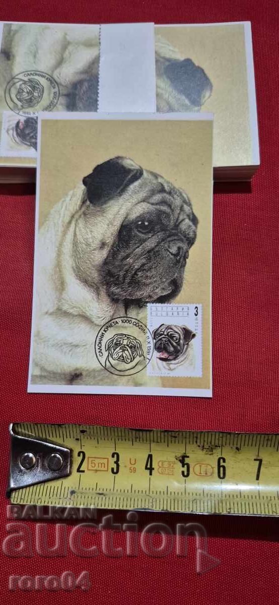 КАЛЕНДАРЧЕ - ФИЛАТЕЛЕН ПРЕГЛЕД - 1996 г. - 5 КАЛЕНДАРЧЕ - ФИЛАТЕЛЕН ПРЕГЛЕД - 1996 г. - 5