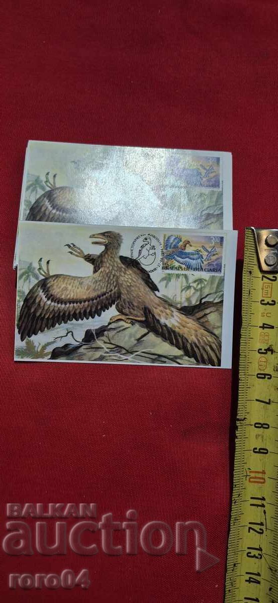 CALENDAR - REVISTĂ FILATELICĂ - 1996 - 5
