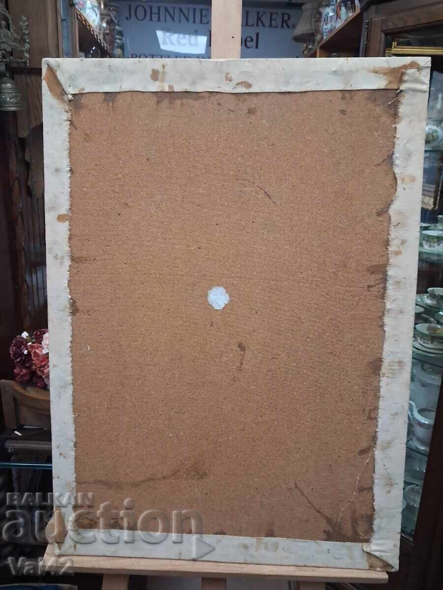 παπαρούνες - 5 παπαρούνες - 5