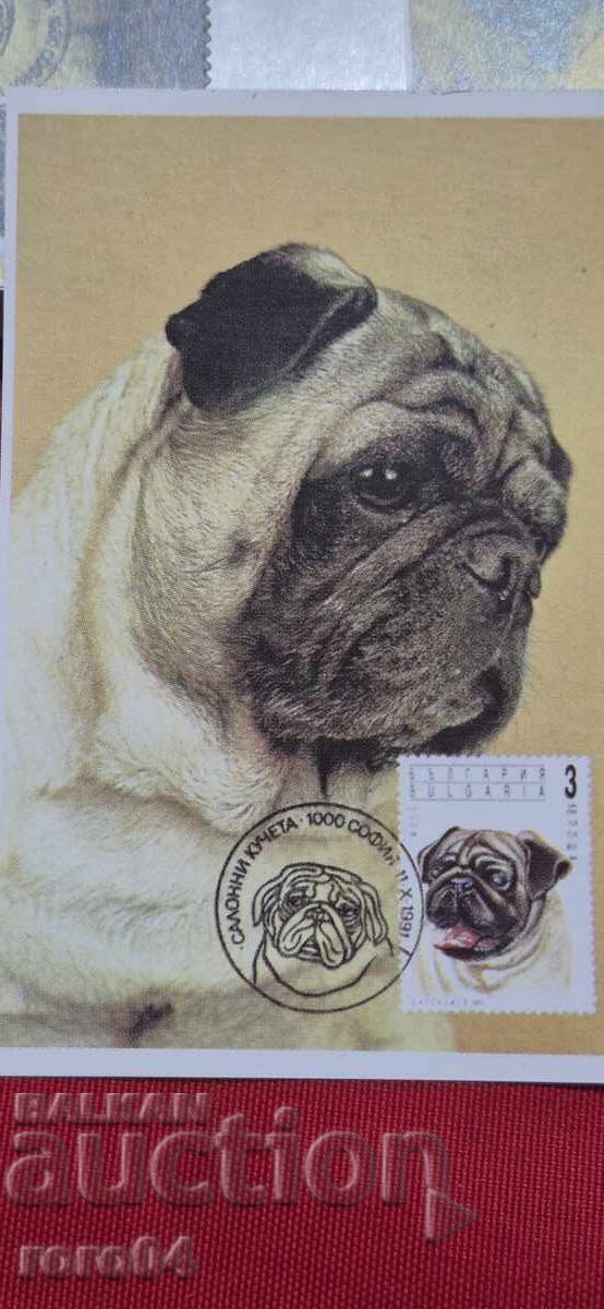 CALENDAR - REVISTĂ FILATELICĂ - 1996 cu preț € 0.69 | 1.35 BGN CALENDAR - REVISTĂ FILATELICĂ - 1996 cu preț € 0.69 | 1.35 BGN