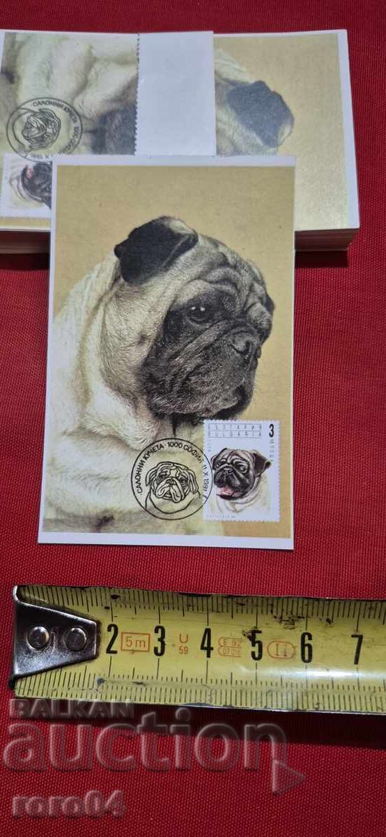 КАЛЕНДАРЧЕ - ФИЛАТЕЛЕН ПРЕГЛЕД - 1996 г. - 5 КАЛЕНДАРЧЕ - ФИЛАТЕЛЕН ПРЕГЛЕД - 1996 г. - 5