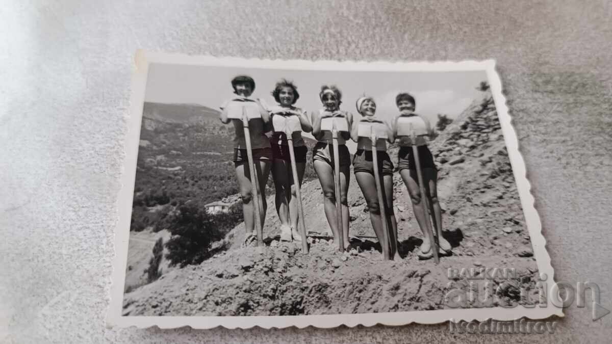 Φωτογραφία Μπριγκαντίρ με φτυάρια Φωτογραφία Μπριγκαντίρ με φτυάρια