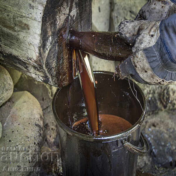 Licitație Colofoniu balsam, ulei de in, gudron de pin și impregnant z Licitație Colofoniu balsam, ulei de in, gudron de pin și impregnant z