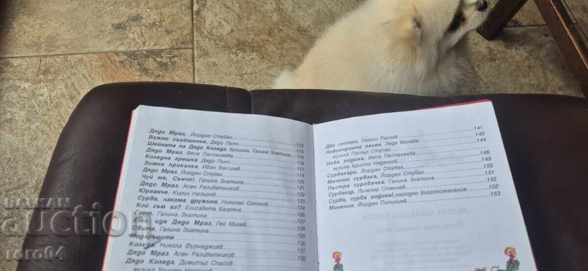 CRĂCIUNUL MEU ALB - 7