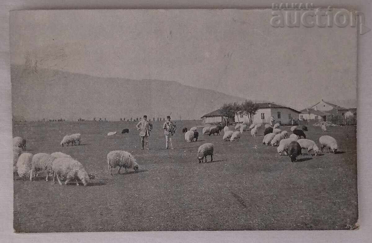 SOFIA LÂNGĂ ORAȘ 191.. a. P.C SOFIA LÂNGĂ ORAȘ 191.. a. P.C