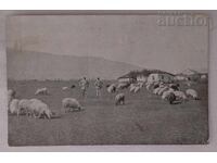 SOFIA LÂNGĂ ORAȘ 191.. a. P.C