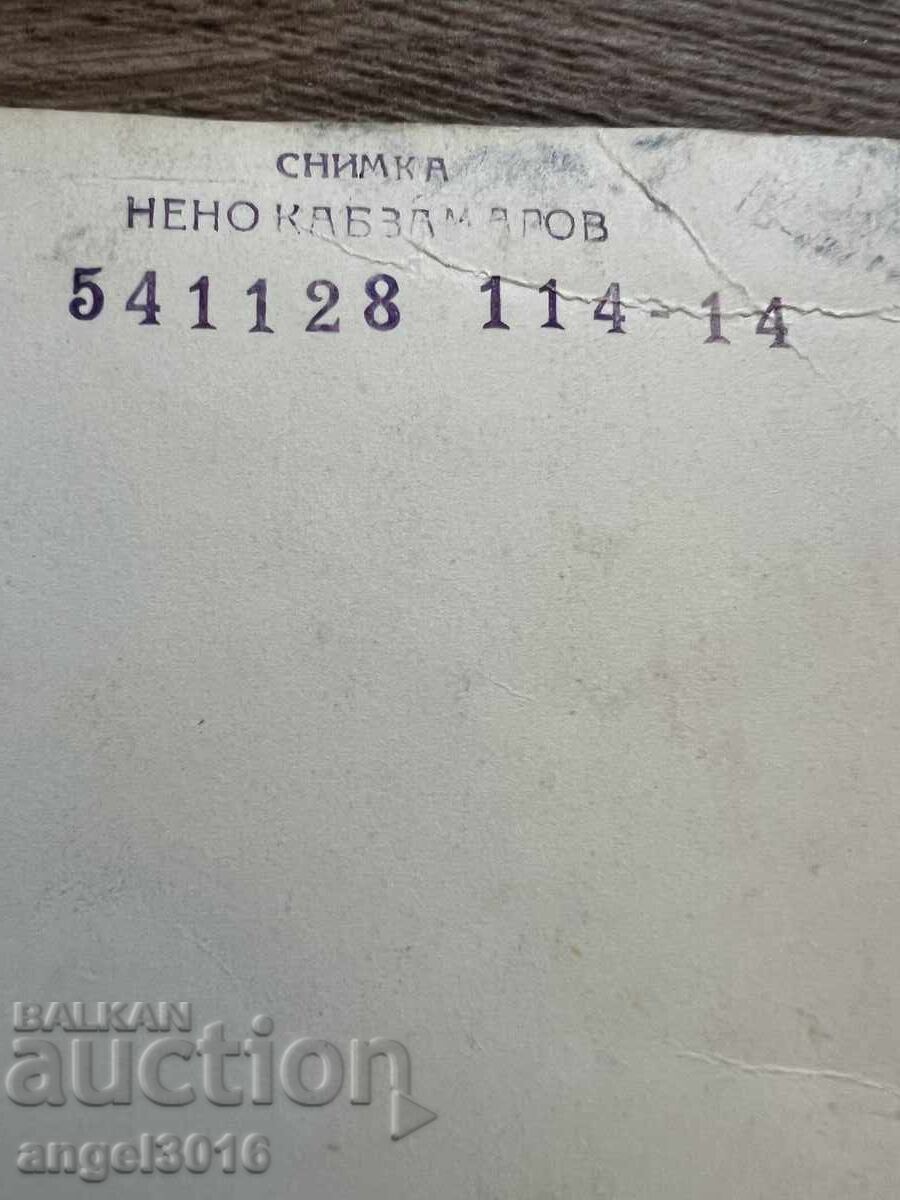 Livrarea Fotografie de Portret Friedrich Schiller (Johann Christoph Friedrich Livrarea Fotografie de Portret Friedrich Schiller (Johann Christoph Friedrich