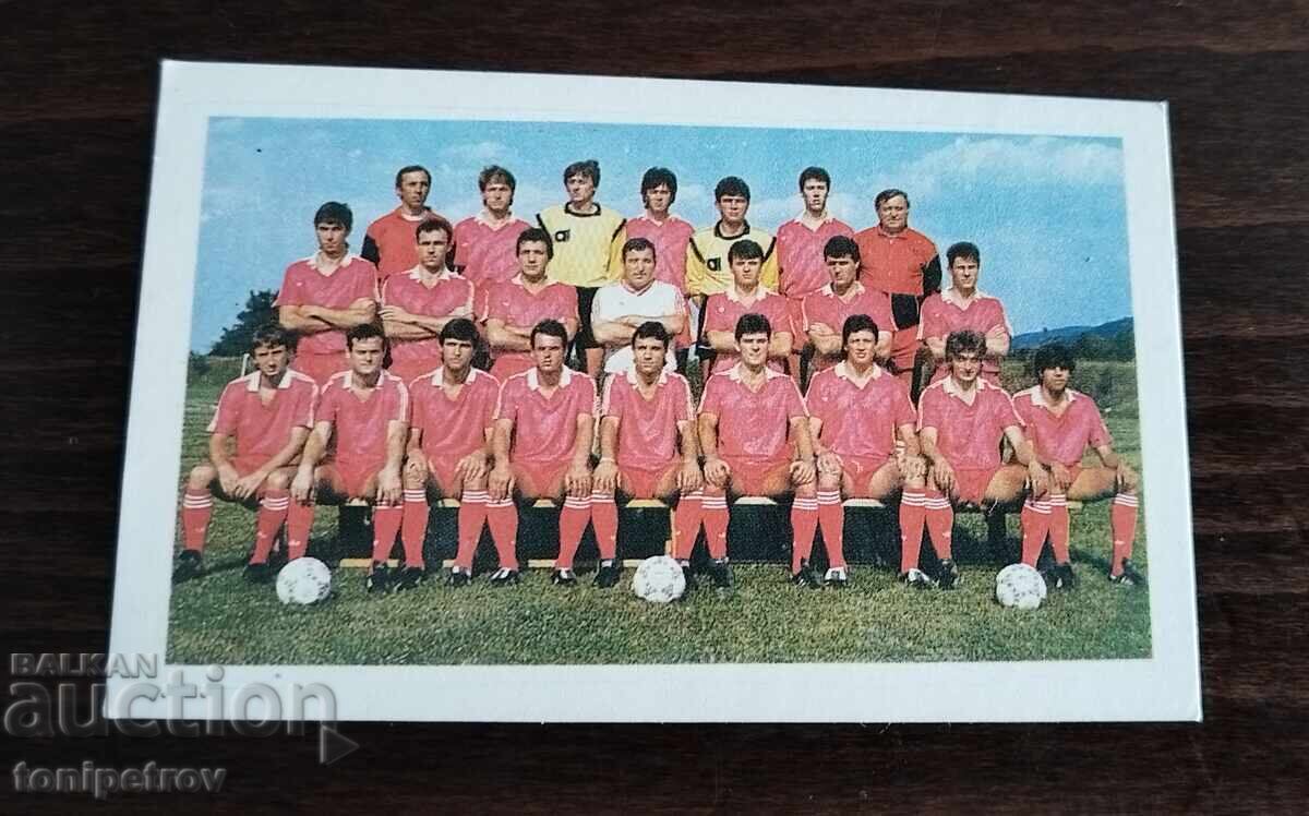 Calendar TSSKA Sofiya 1990 Calendar TSSKA Sofiya 1990