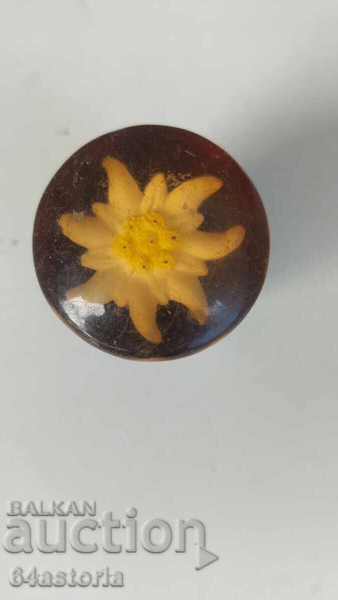 Μπάλα λεβιέ ταχυτήτων, edelweiss, σουβενίρ, κεχριμπάρι με τιμή 28.00 BGN | € 14.32 Μπάλα λεβιέ ταχυτήτων, edelweiss, σουβενίρ, κεχριμπάρι με τιμή 28.00 BGN | € 14.32